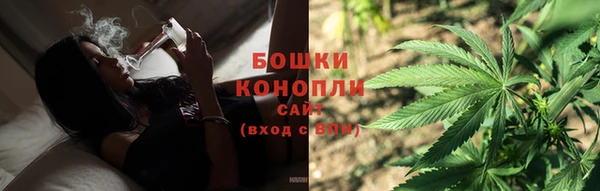 ГАЛЛЮЦИНОГЕННЫЕ ГРИБЫ Абаза