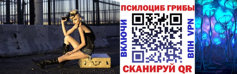 Псилоцибиновые грибы Psilocybe  дарнет шоп  Алейск 